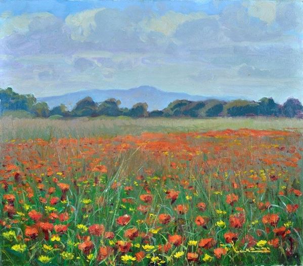 Giorgio Luxardo - Field of poppies