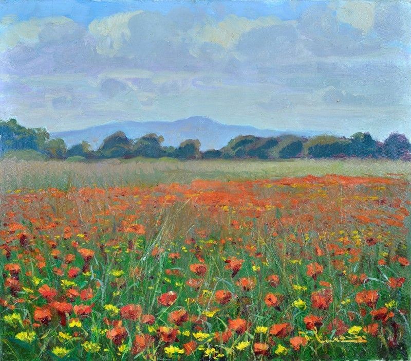 Giorgio Luxardo - Campo di Papaveri