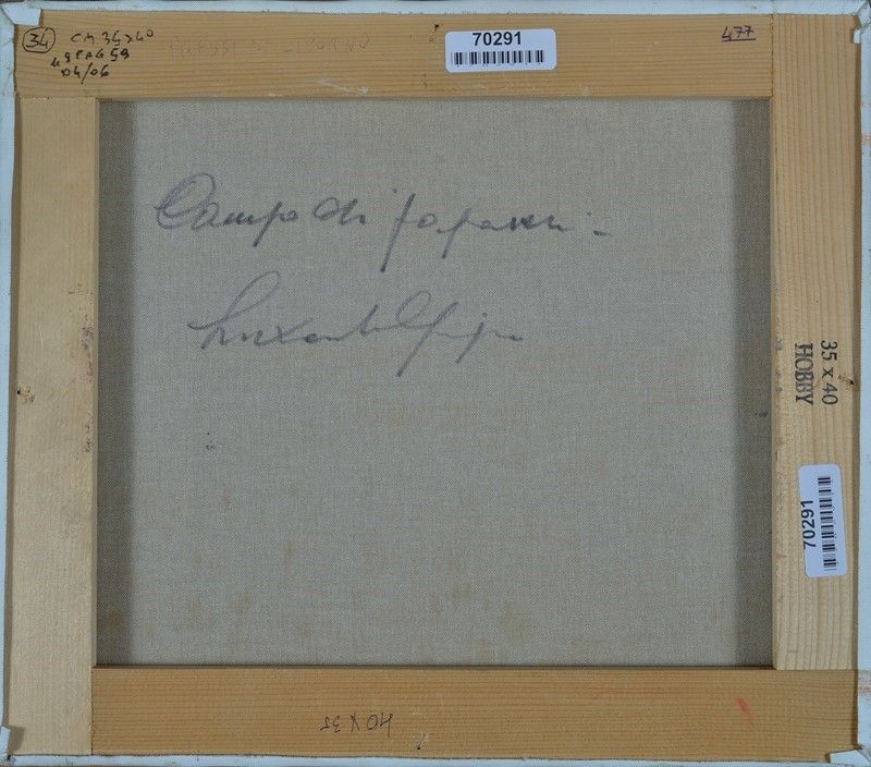 Giorgio Luxardo - Campo di Papaveri