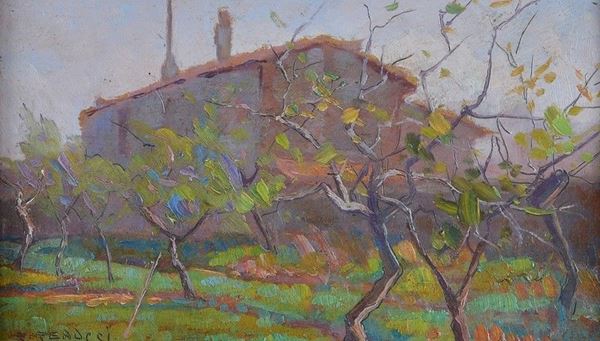Renuccio Renucci - Campagna