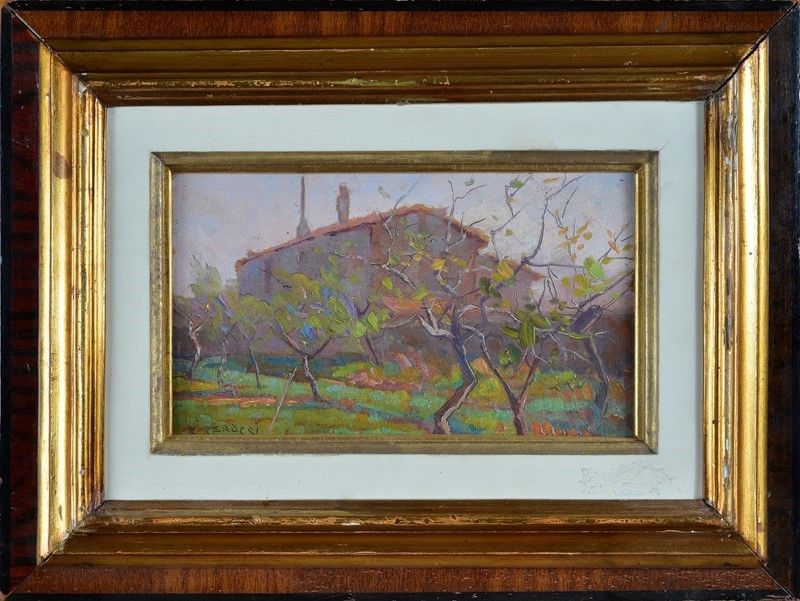 Renuccio Renucci - Campagna