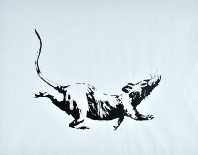 Rat