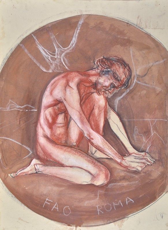 Romano Stefanelli - Fao Roma