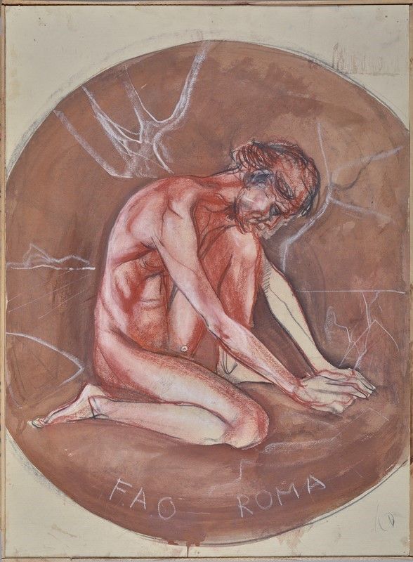 Romano Stefanelli - Fao Roma