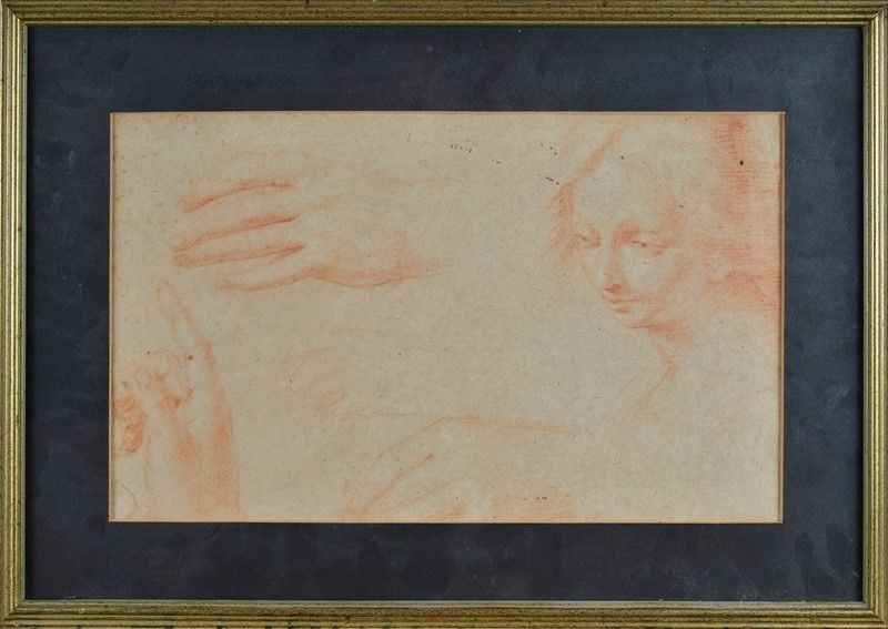 Scuola Italia Settentrionale, XVII Sec. - Studio di Mani e di Volto