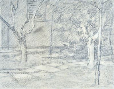 Alberi