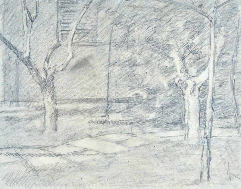 Enrico Sacchetti - Alberi