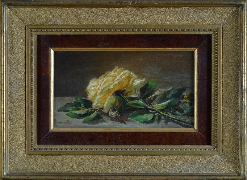 Romeo Bonomelli - Rosa