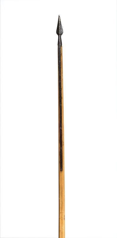Part of a long pike  - Auction Antique Arms & Militaria - Galleria Pananti Casa d'Aste