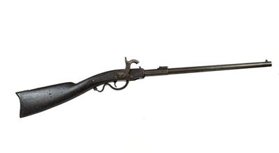 Carabina da Cavalleria Cosmopolitan