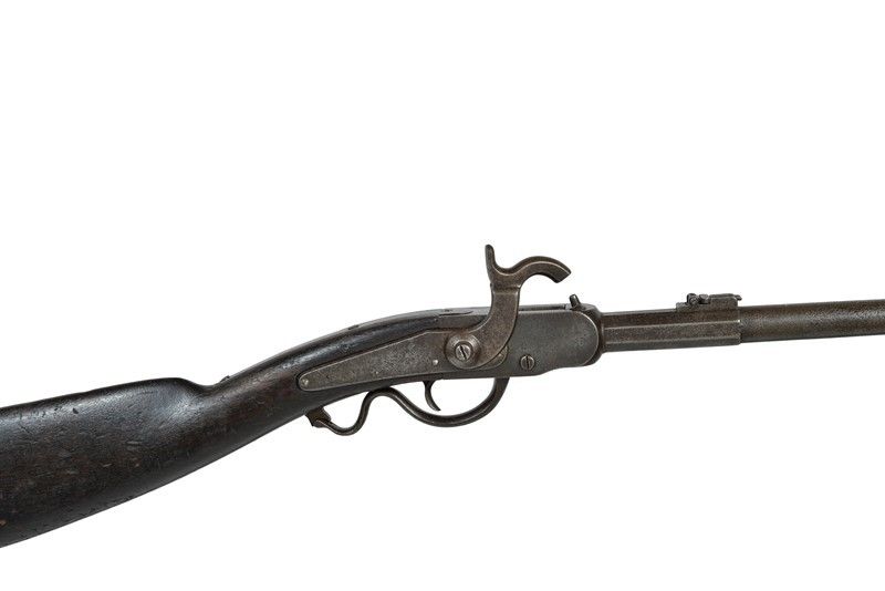 Carabina da Cavalleria Cosmopolitan