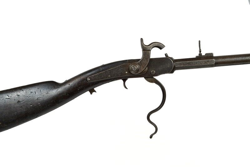 Carabina da Cavalleria Cosmopolitan