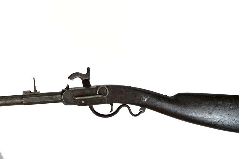 Carabina da Cavalleria Cosmopolitan