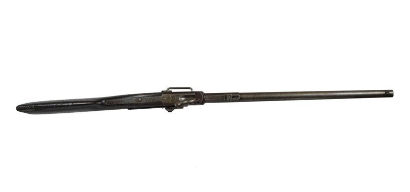 Carabina da Cavalleria Cosmopolitan