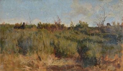 Paesaggio