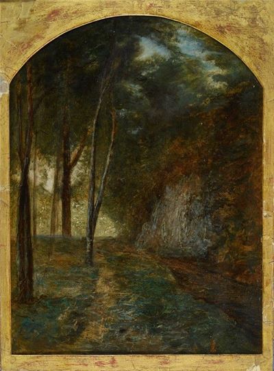 Paesaggio Boschivo