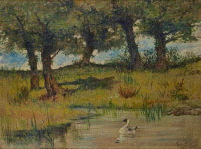 Lo Stagno (dintorni di Castiglioncello)