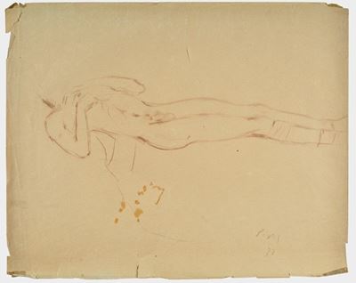 Nudo Disteso
