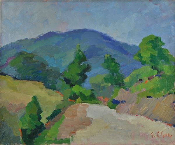 Gino Paolo Gori - Appennino tosco-emiliano