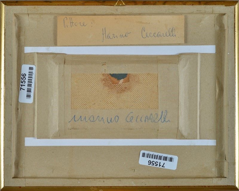 Marino Ceccarelli - Senza Titolo