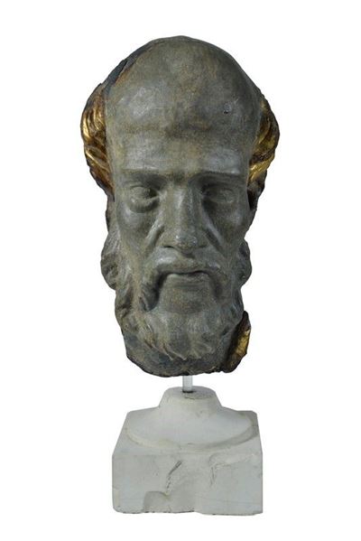 Testa di Profeta