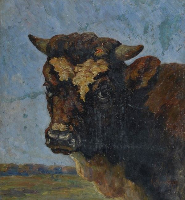 August Kaufhold - Ox head