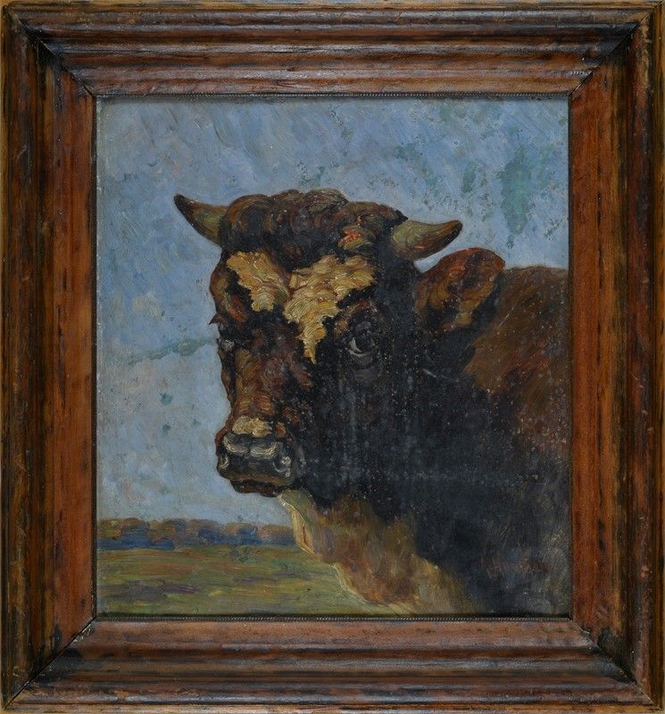 August Kaufhold - Testa di Bove