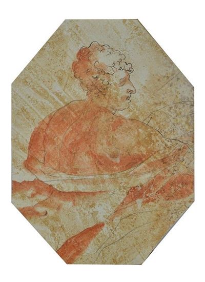 Figura di Profilo
