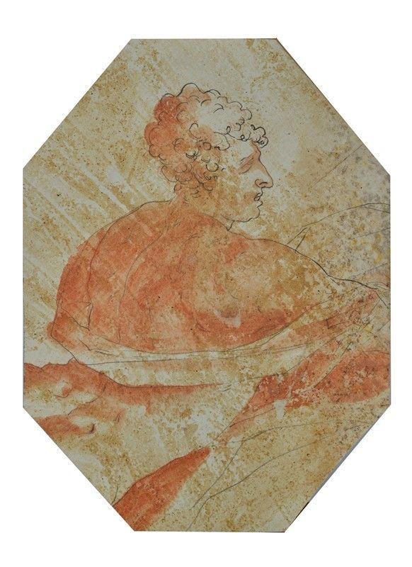 Scuola Emiliana, XVII Sec. - Figura di Profilo