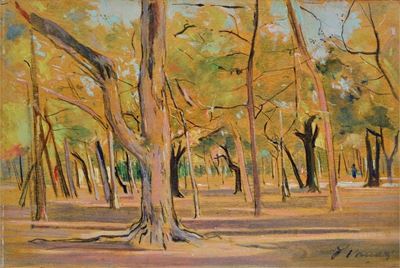 Pineta All'ardenza