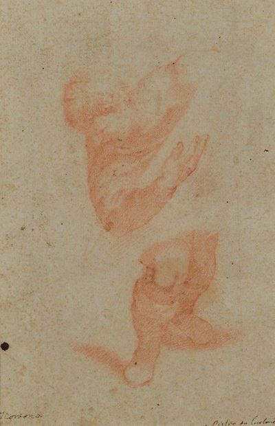 Studi di Figura