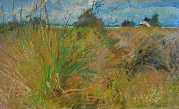 Mario Puccini - The rushes