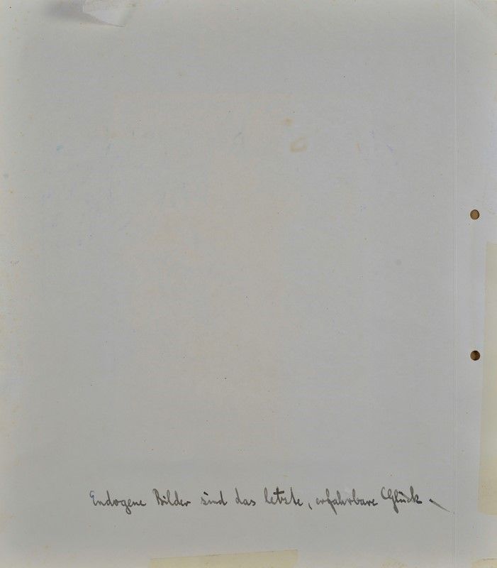 Hermann Hesse - Endogene Bilder Sind Das Letzte, Erfahrbare Gluck
