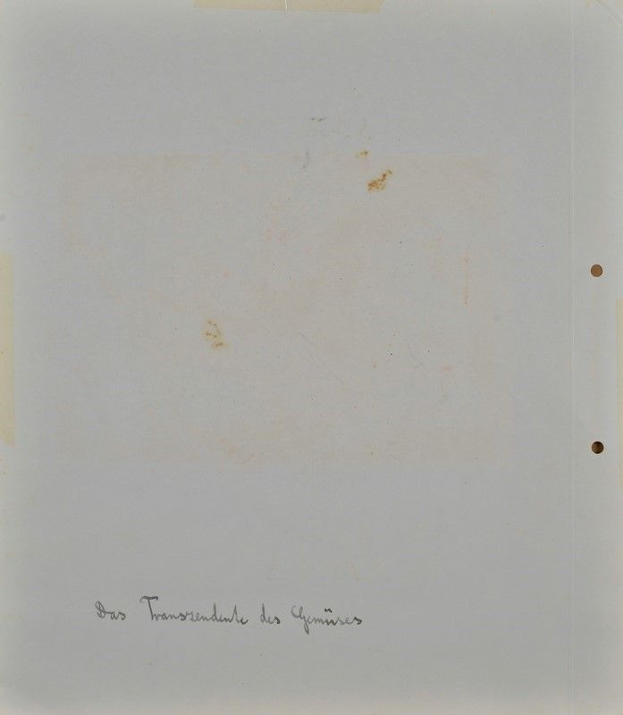 Hermann Hesse - Das Transzendente Des Gemuses