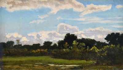 Pascolo a San Rossore