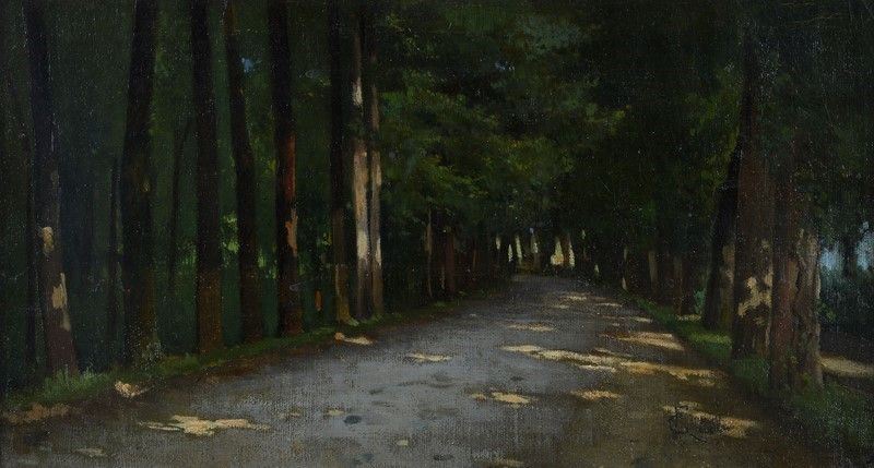 Francesco Gioli - Strada nel Bosco