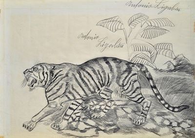Tigre