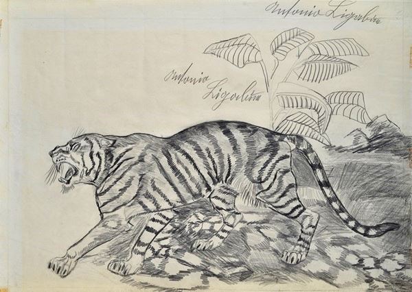 Antonio Ligabue - Tigre