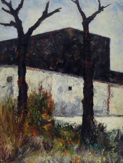 Alberi Potati