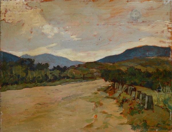 Carlo Domenici - Strada al Gabbro