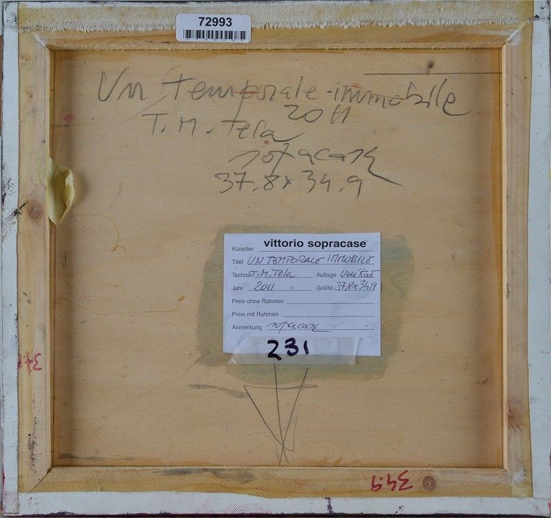 Vittorio Sopracase - Un Temporale Immobile