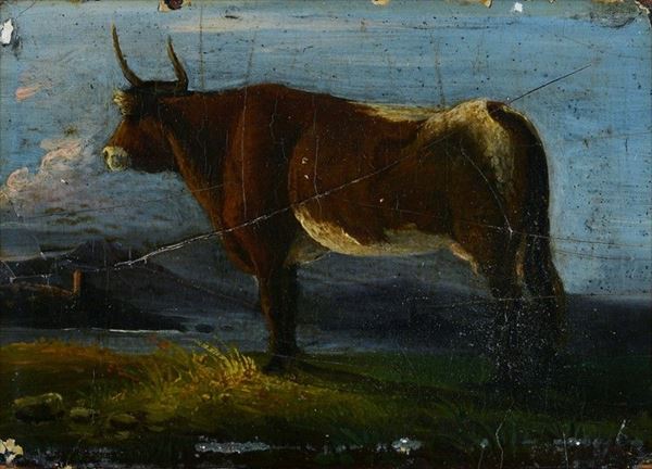 Anonimo, XIX sec. - The bull