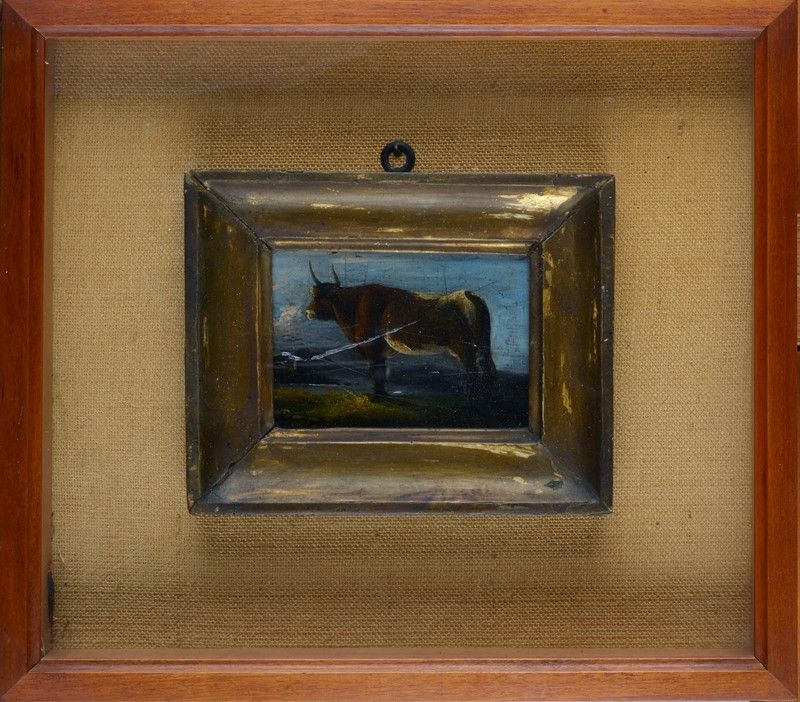Anonimo, XIX Sec. - Il Toro