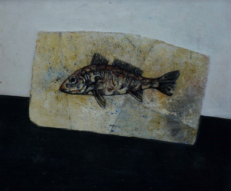 Giulio Scopaticci - Fossile