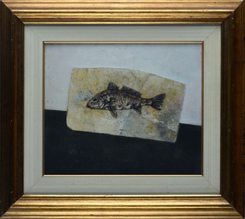 Giulio Scopaticci - Fossile