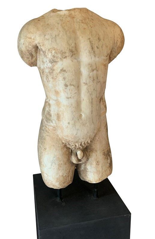 Torso maschile