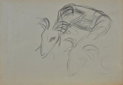 Capra