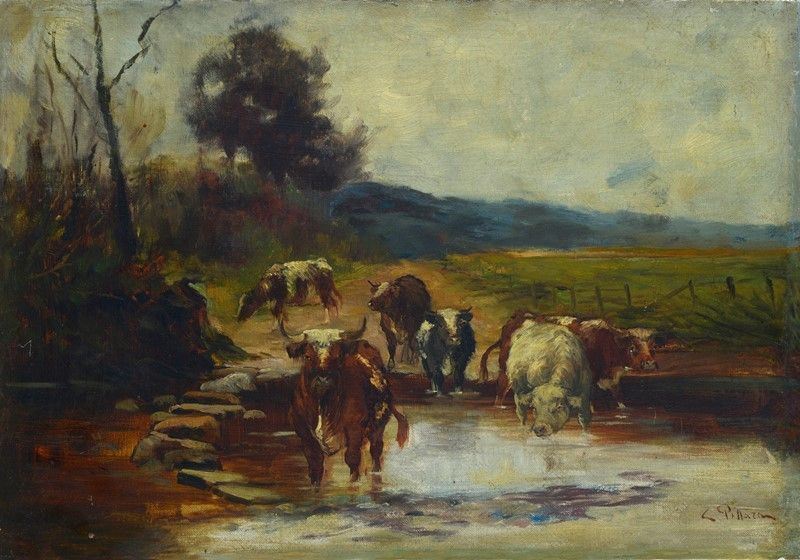 Carlo Pittara - Bovini al Pascolo