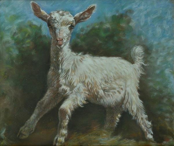 Filippo Palizzi - Capretta