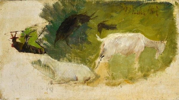 Francesco Paolo Michetti - Studio per capre
